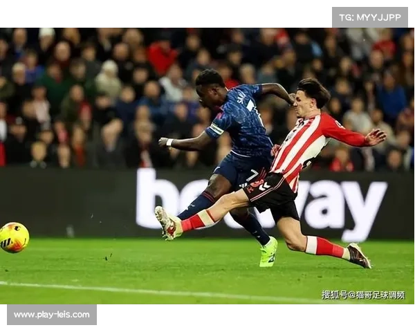 升班马桑德兰黑马之路，主场不败金身破灭